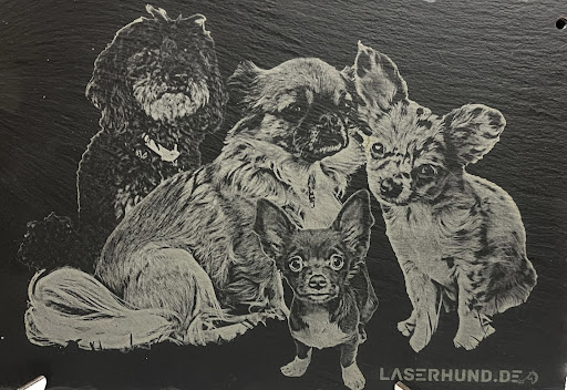 Laserhund.de - Visual
