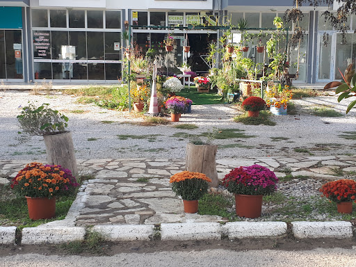 ÖREN ÇIĞLIK ÇİÇEKÇİLİK VE ORGANİZASYON