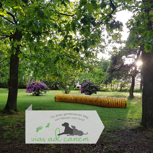 Hundeplatz Wiegersen - Thumbnail