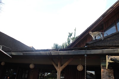 Photos of Keekorok Lodge