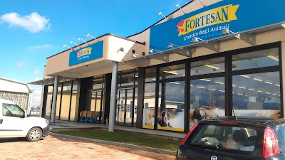 Store Fortesan Pinerolo