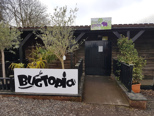 Bugtopia - Visual