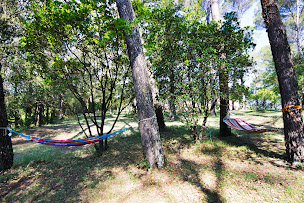 Photo n°15 de Domaine de l'Olivier Brignoles - Location villa & centre de bien-être à Brignoles (Centre de yoga)