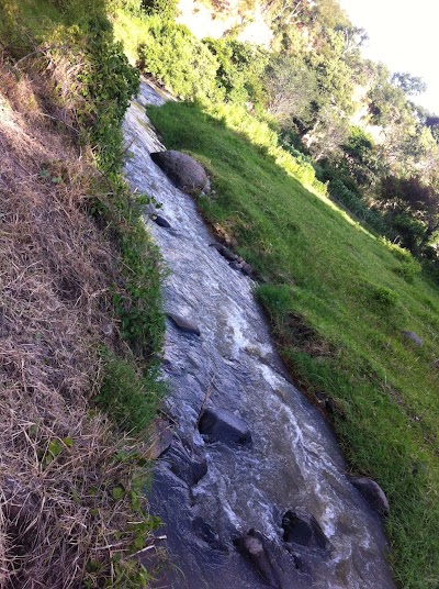 Photos of Amaranto de Morelos