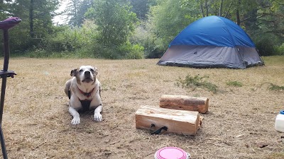 Tyee Campground
