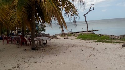 Photos of Xpicob