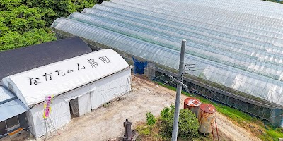 なかちゃん農園