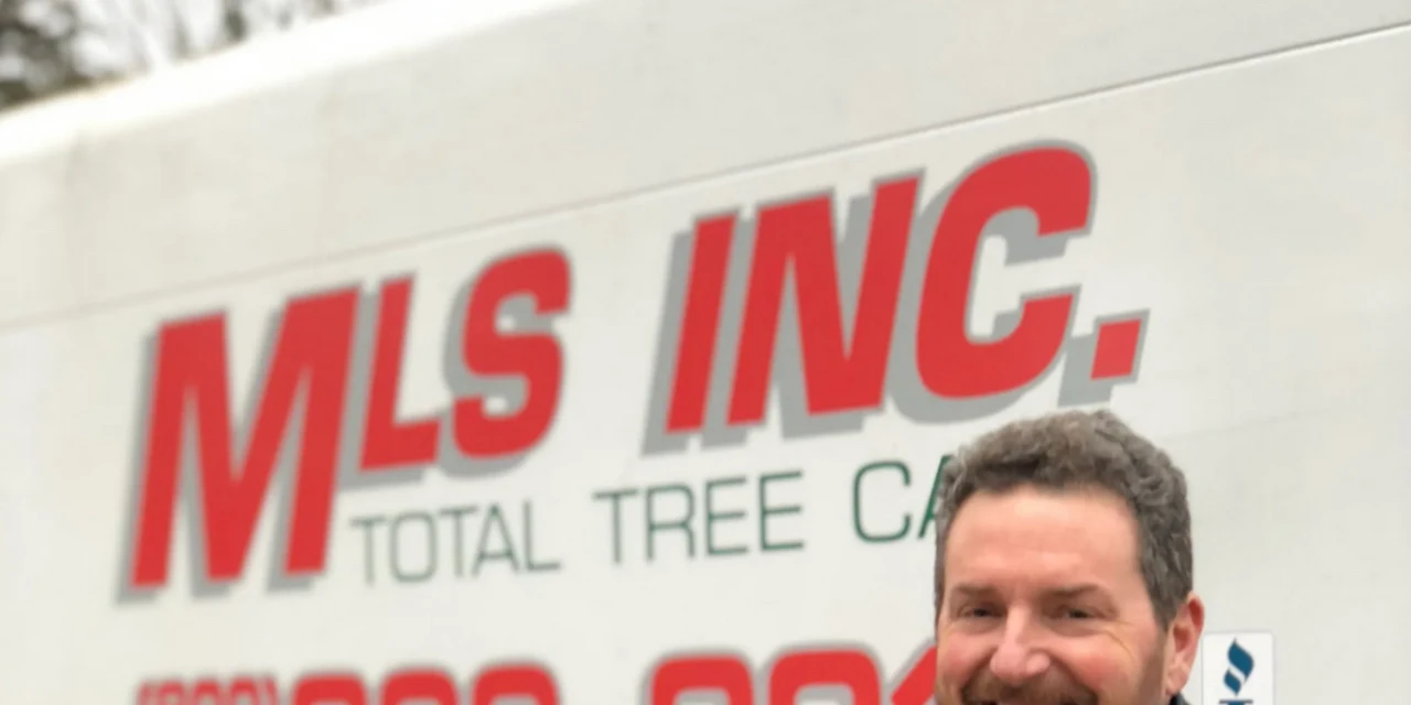 MLS Tree Services