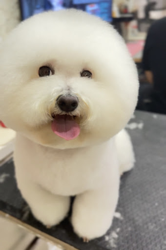 樂福犬寵物生活館