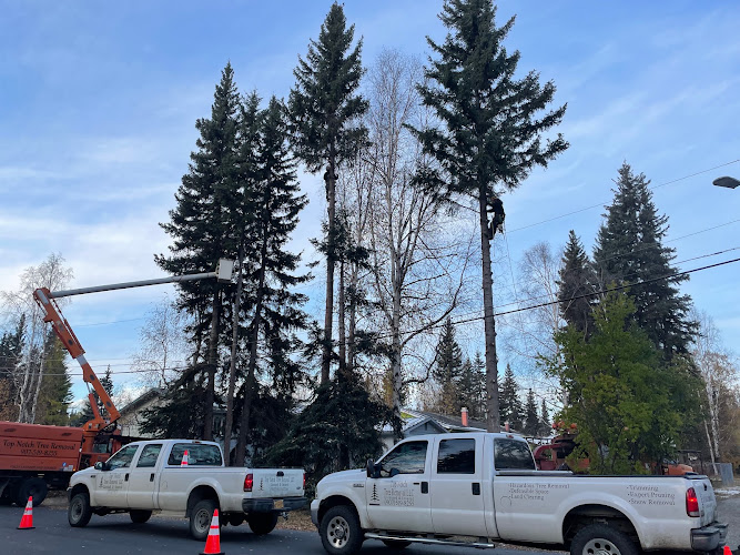Top Notch Tree Removal LLC