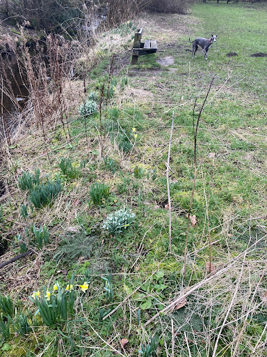Oxenhope Millennium Green - Thumbnail