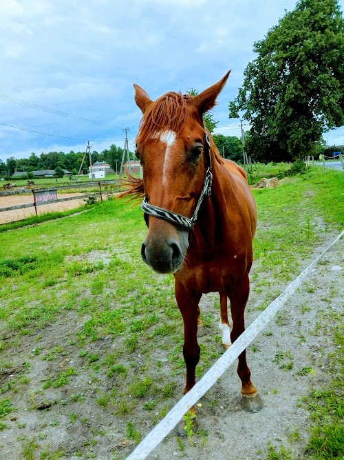 Heimtali õpperada