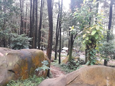 Photos of Hutan Pinus Sentul