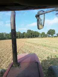 Photo n°6 de Ferme du Petit Montergon à Erdre-en-Anjou (Ferme)