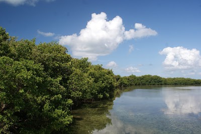 Photos of Run And Gun Fishing Charters