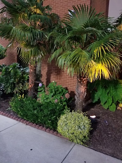 Photos of FairBridge Inn & Suites McDonough