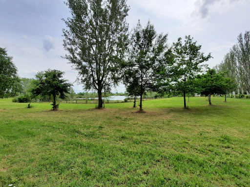 L'Oasi di Vigarano Pieve del Canoa Club Ferrara - Thumbnail
