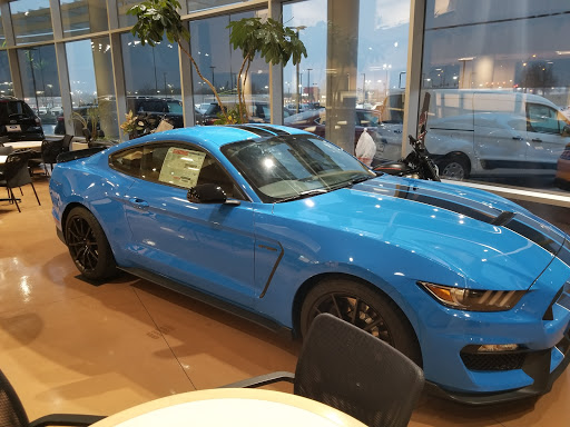 Thoroughbred Ford - Visual
