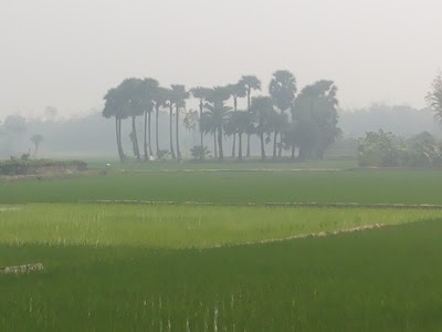 Photos of দেবীপুর