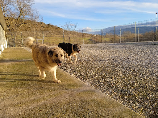Hotel para perros Residencia Canina Las Merindades - Criadero De La Mazorra