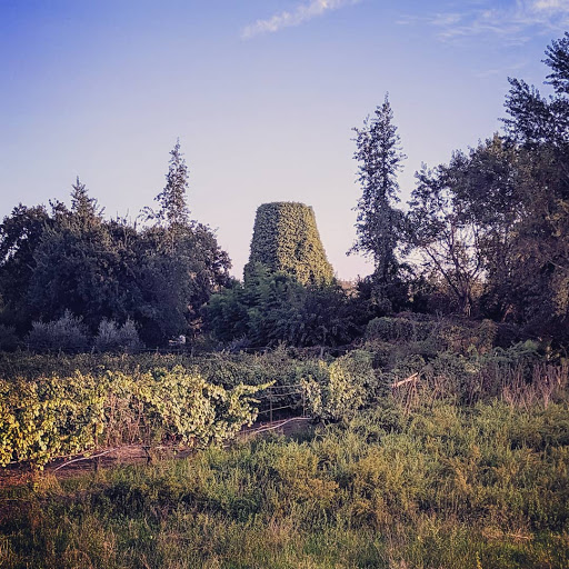 Torre degli Incurabili - Thumbnail