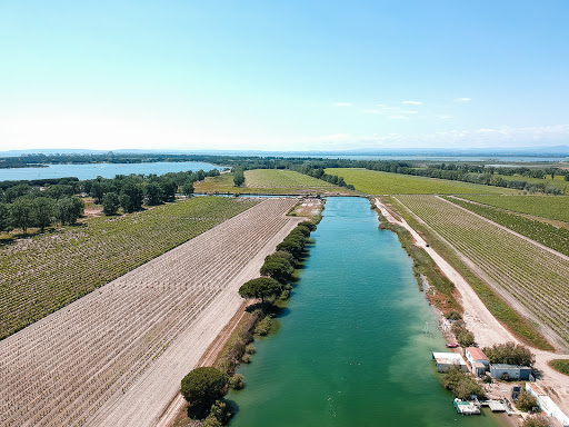 Camargue Paradise - Thumbnail
