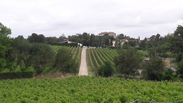 Domaine Gayda