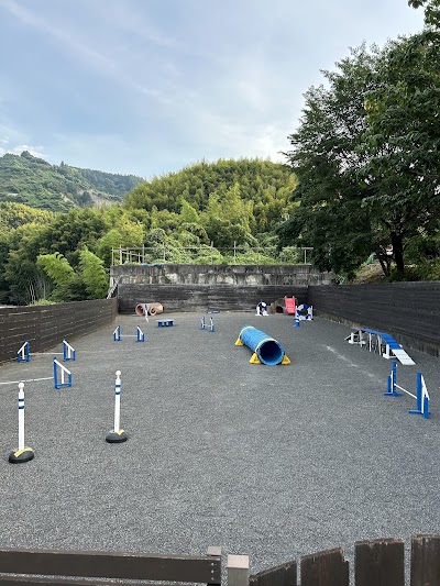 Wan.Wanトレーニングテラオ