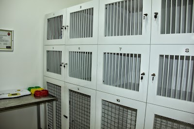 Photos of BARTIN &Ccedil;AĞDAŞ PET VETERİNER KLİNİĞİ