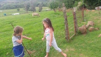 Photos of Marrakesh Cheese Farm