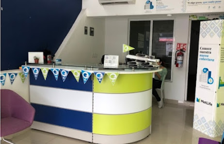 Fotografía de Alamo seguros | MetLife Del propietario