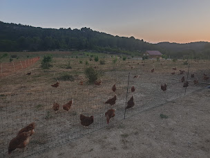 Photo n°1 de Ferme Lo bizot à Bize-Minervois (Élevage de volailles)