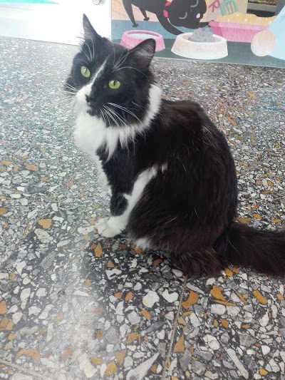Photos of St. Helena Veterinary Clinic