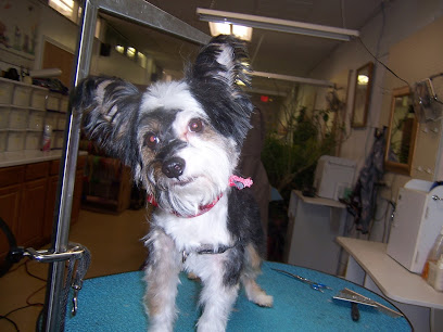 Carol's Pretty Pets Salon