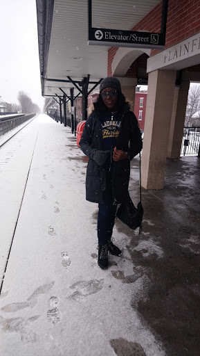 Plainfield Rail Station - Thumbnail