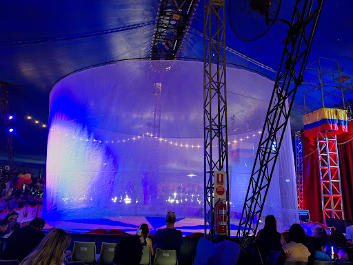 Circus Royale Bayswater - Thumbnail