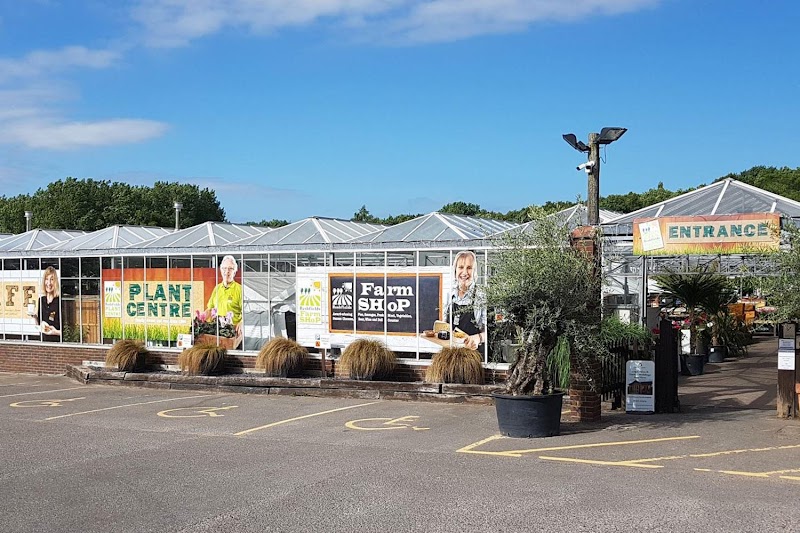 Rushfields Plant Centre photo 2