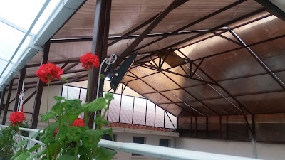 Photos of Museo Humberto Iporre Salinas