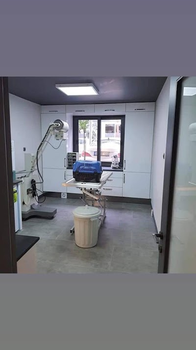 Kusadasi Modern Veterinary Clinic