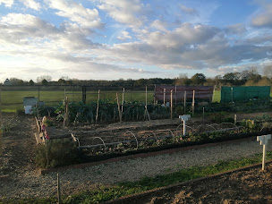 Photo n°2 de jardins familiaux machecoul à Machecoul-Saint-Même (Association bénévole)