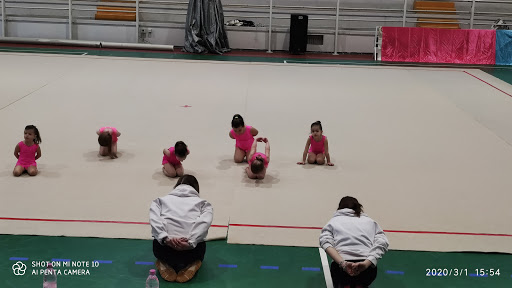 Associazione Sportiva Montelupo - Thumbnail