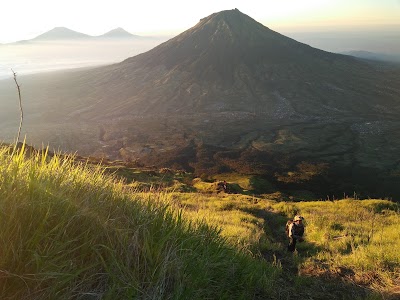 Photos of Alang Alang Sewu