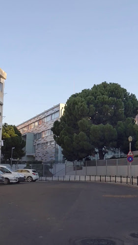 Escola Secundária Eça de Queirós Horário de abertura