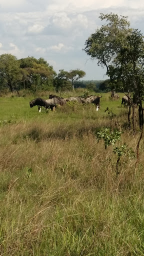 Haka Game Park, Harare | DestiMap | Destinations On Map