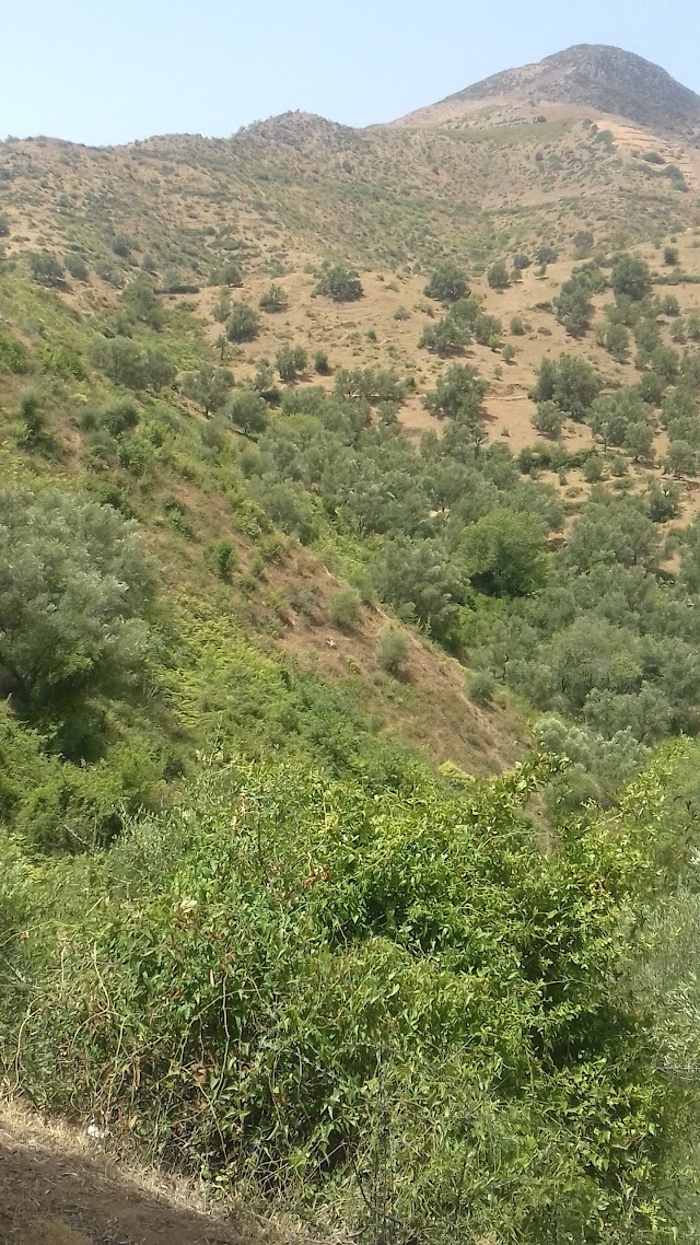 Parc national d'Ifrane