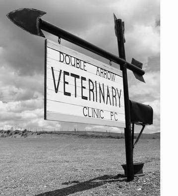 Double Arrow Veterinary Clinic PC