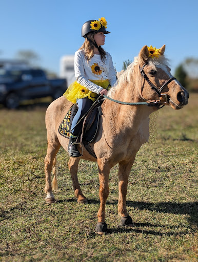 Temple Equestrian Center at Mason Lane Farm