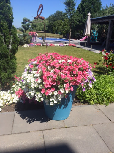 Plantencentrum Van Den Beuken - Thumbnail