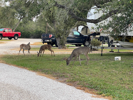 Angler's RV Retreat - Thumbnail