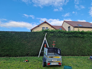Photo n°21 de Sylvain élagage à Précy-sur-Oise (Service d'élagage)